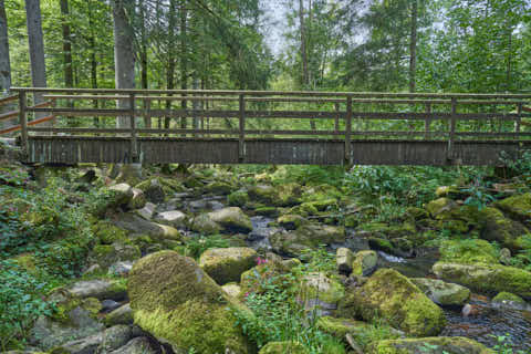 Gemeinde Waldkirchen Landkreis Freyung-Grafenau Saußbachklamm (Dirschl Johann) Deutschland FRG